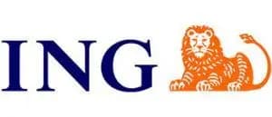 ing Partner Logo